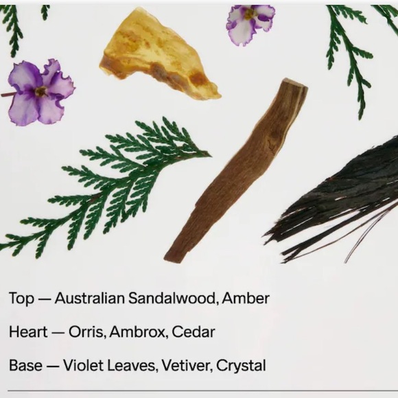 Salt & Stone Santal & Vetiver Refillable Body Wash with Niacinamide + Probiotic - Picture 2 of 6